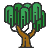 Willow tree icon
