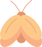 Earthy Autumn Season Element