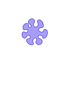 Bacteria