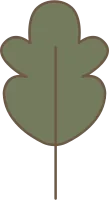 Earthy Autumn Season Element