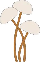 Earthy Autumn Season Element