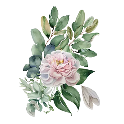 Watercolour floral illustration. White flowers, branches, leaves. Watercolor painted floral