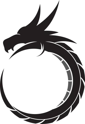 dragon vector illustrations design icon logo template