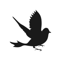 Bird silhouette9