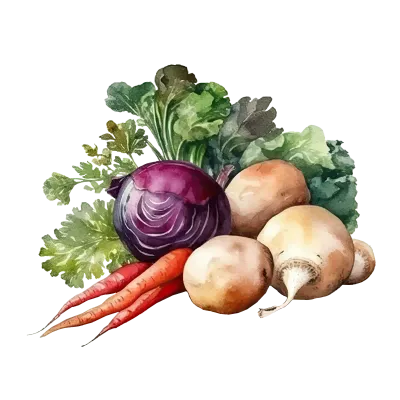vegetable-watercolor-illustration_1
