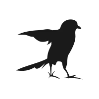 Bird silhouette3