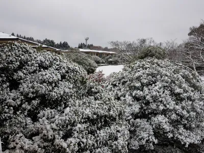 snow_1