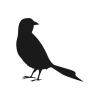 Bird silhouette15