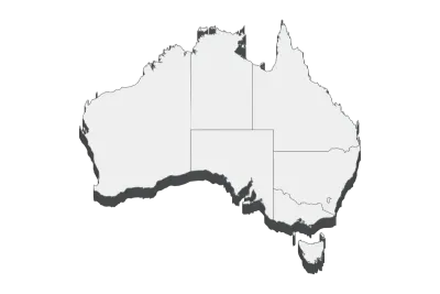 3D map illustration of Australia