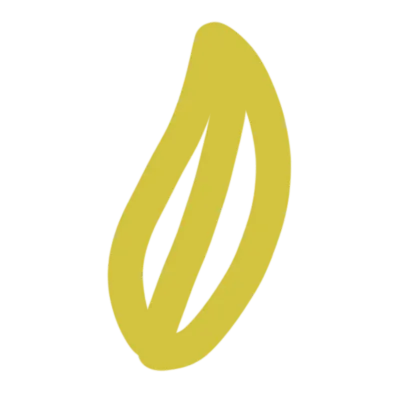 Green leaf png