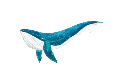 1고래그림