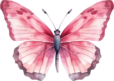 Butterfly Watercolor Illustration