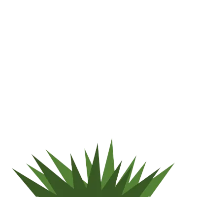 grass