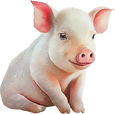 Pig animal watercolor illustration