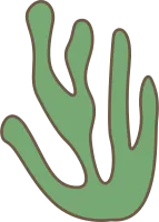 Ocean Nautical Theme Element