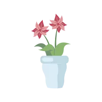 flowers in pots illustration