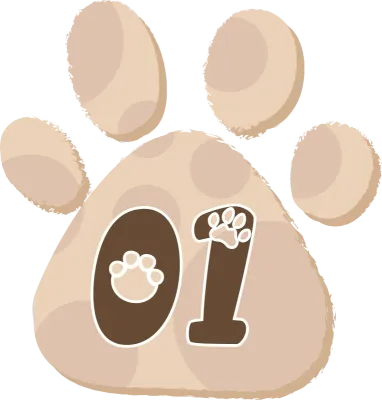 Puppy Paw Design Bullet Point