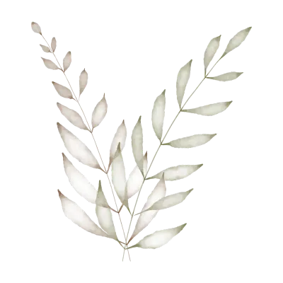 Flowers and Leaf Watercolor clip art