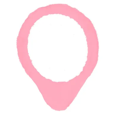 Pin