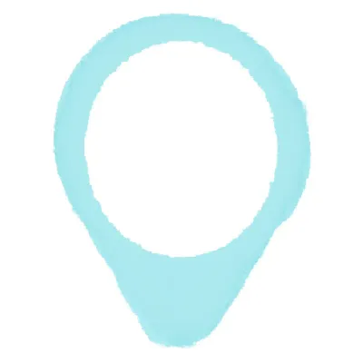 Pin
