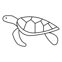 Painted Turtle,Painted Terrapin,Tortoise,Galapagos,turtle,outline