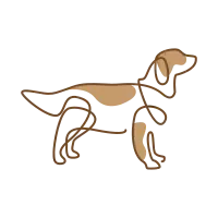 line art abstract colorful dog lines logo symbol icon vector graphic design illustration