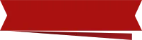 리본