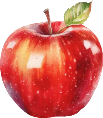 Red Apple Watercolor Illustration