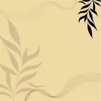 Aesthetic Minimalis background