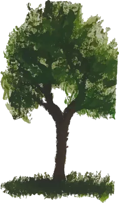 Tree Illustration