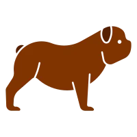 bulldog,dog,pitbull,pet,border,flat