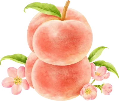 Cute Watercolor Peach