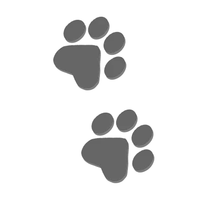 footprint