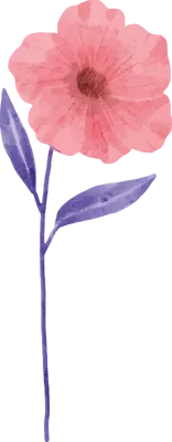 Branch of Red Flower Blossom with Leaves  in Water Color for Decorative Element