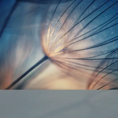 Social media template