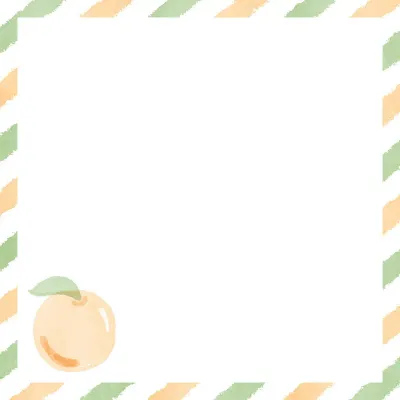편지지