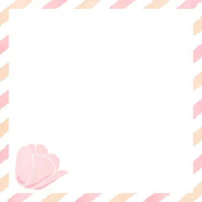 편지지
