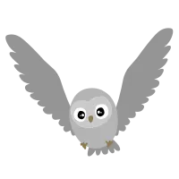 Cute owl