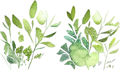 Greenery Leaves Watercolor Clipart