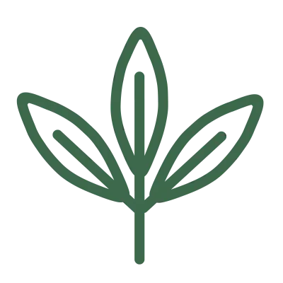 Green Leaf