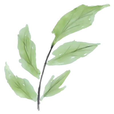 watercolor greenery foliage