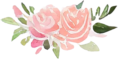 watercolor pink rose clip art