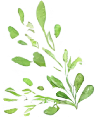 Greenery Leaves Watercolor Clipart