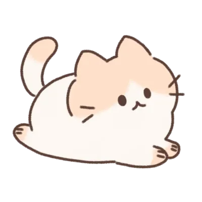 Cute cat