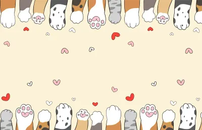 cat meaw