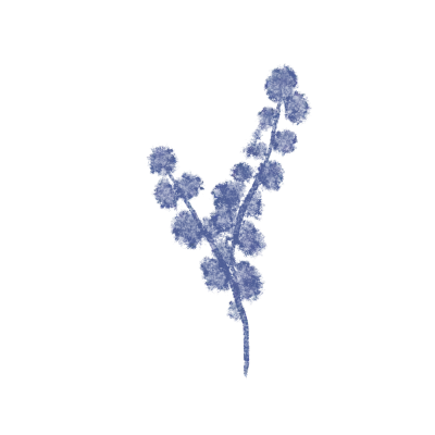 Blue Print Flowers