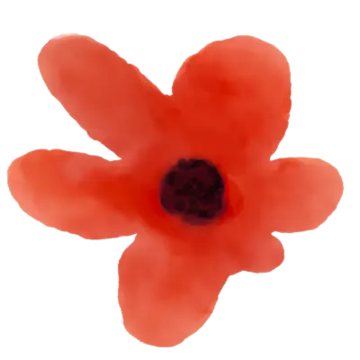 Colorful Watercolor Flower