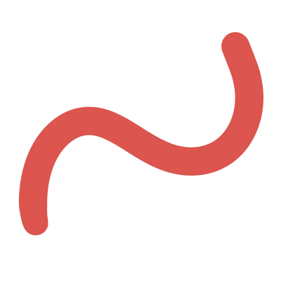 Decorative line