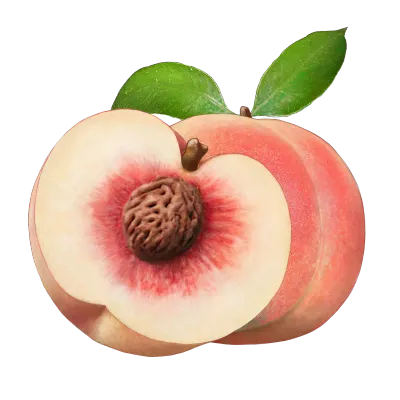 복숭아