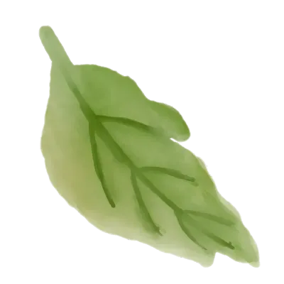 watercolor greenery foliage
